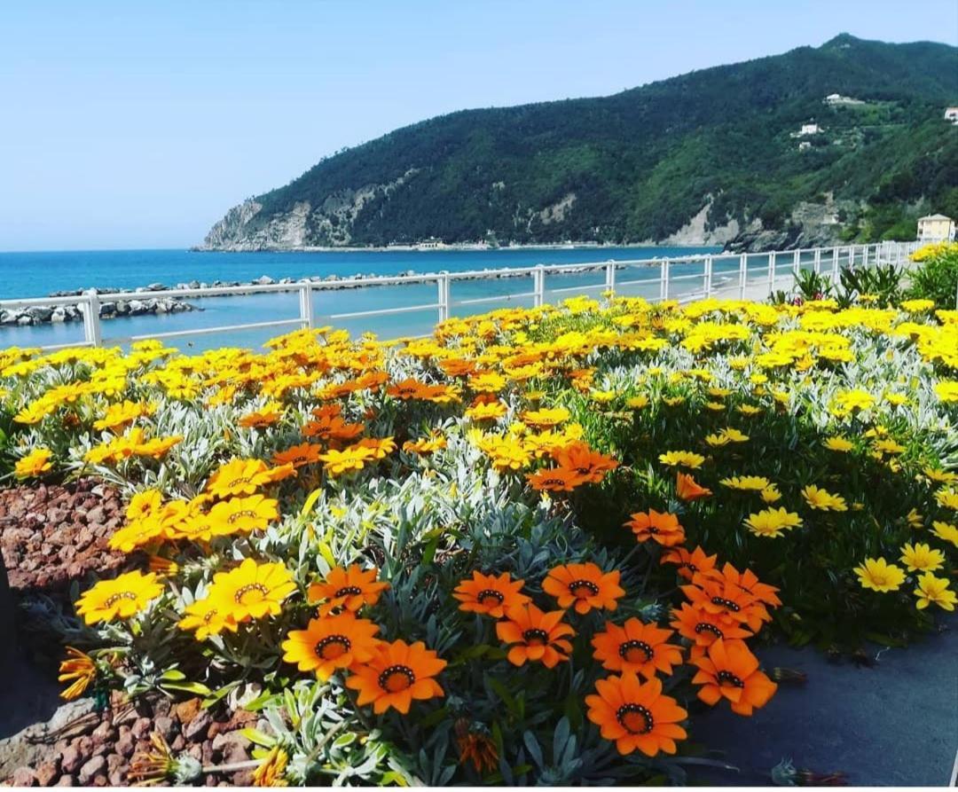 Appartamento Casa Anna Moneglia Esterno foto